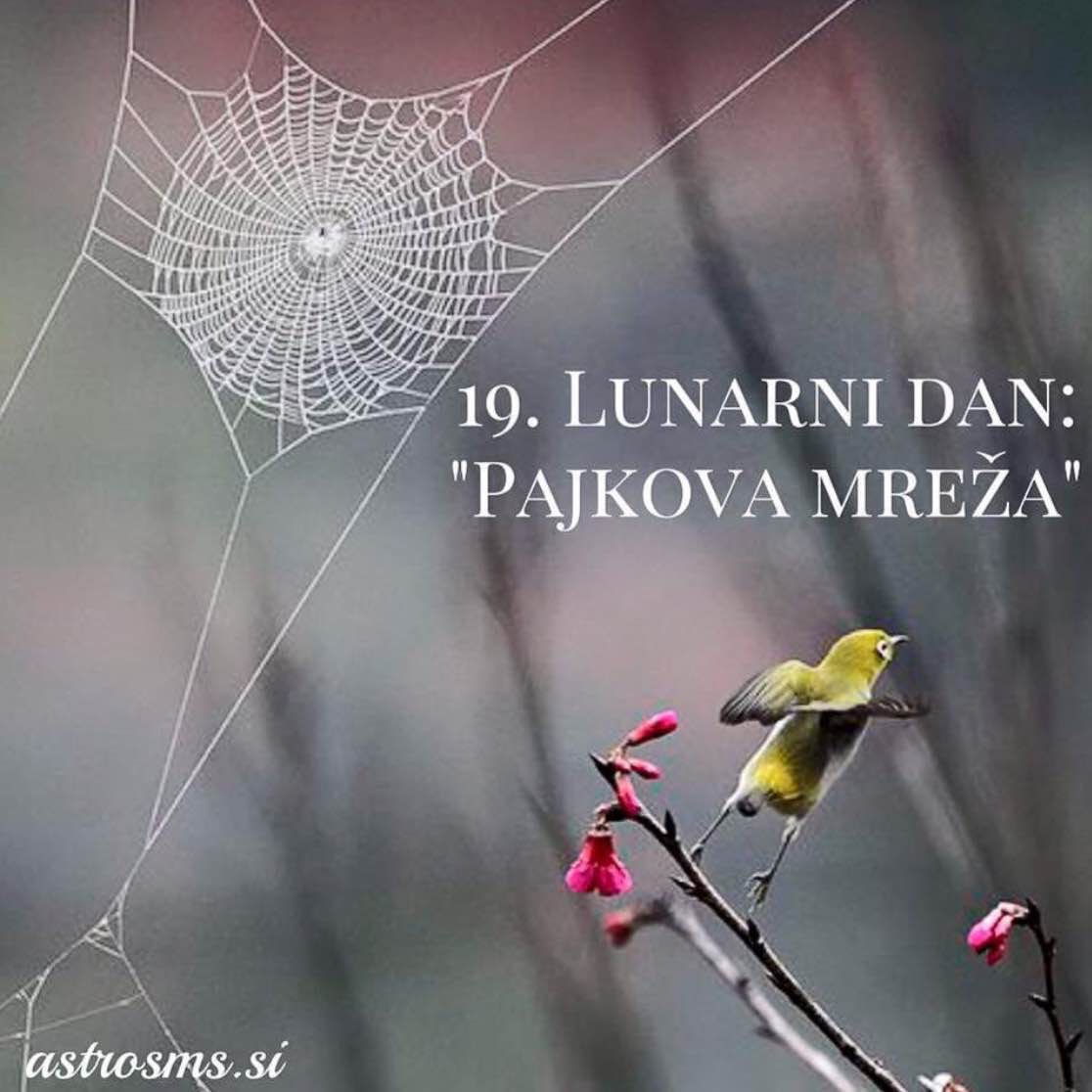 19.Lunarni dan
