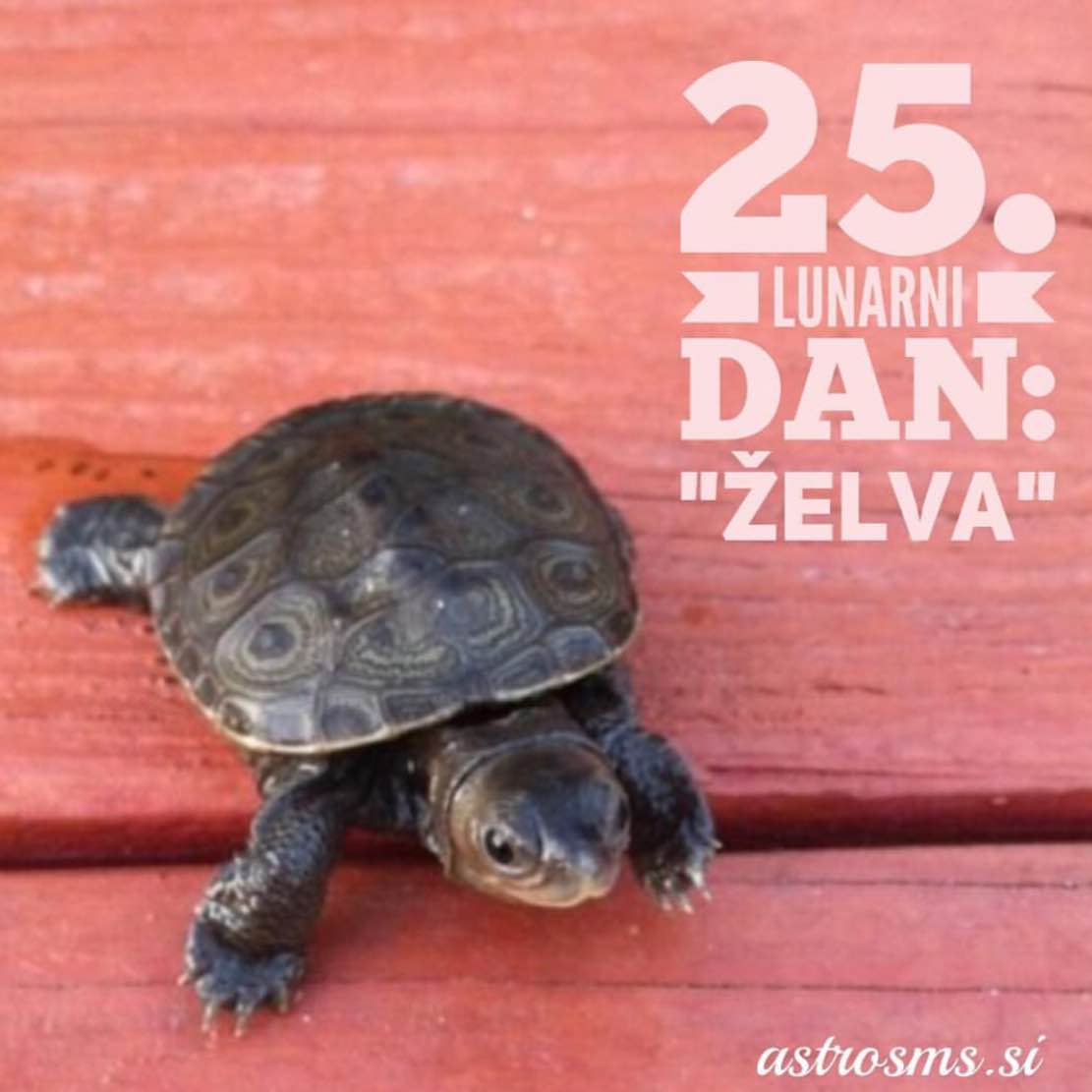 25.Lunarni dan