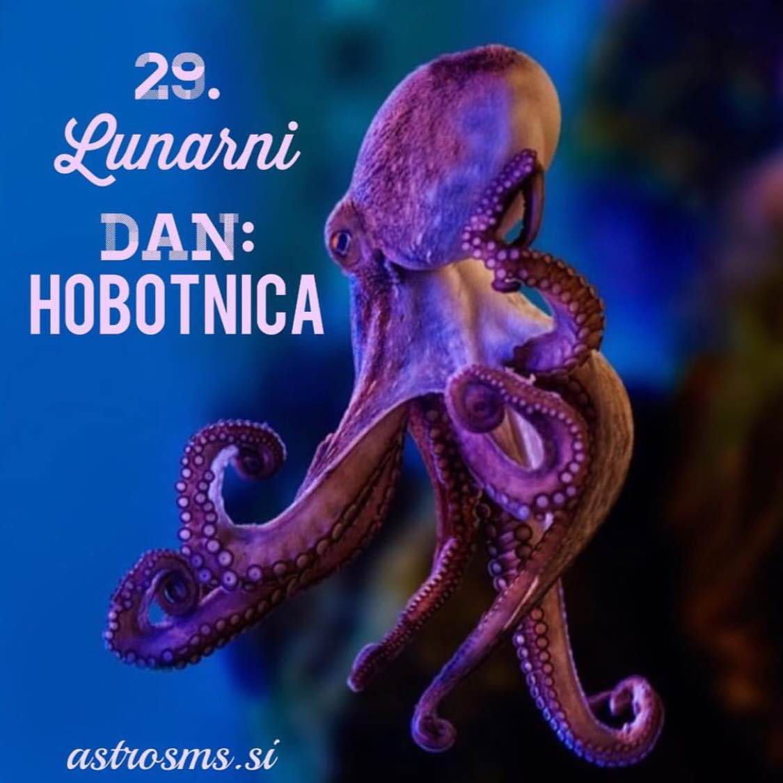 29.Lunarni dan
